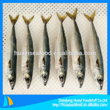 Seafrozen Mackerel Fish En Stock Pour Marché